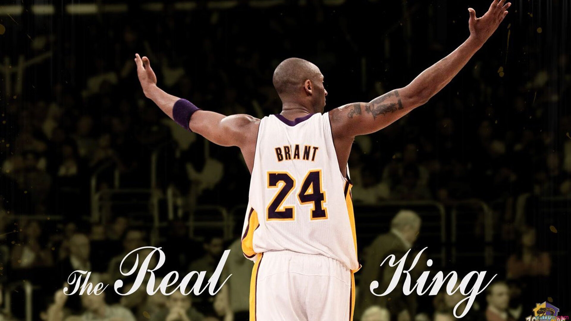 战队老板亲临赛场为选手加油打气,为战队加油的句子