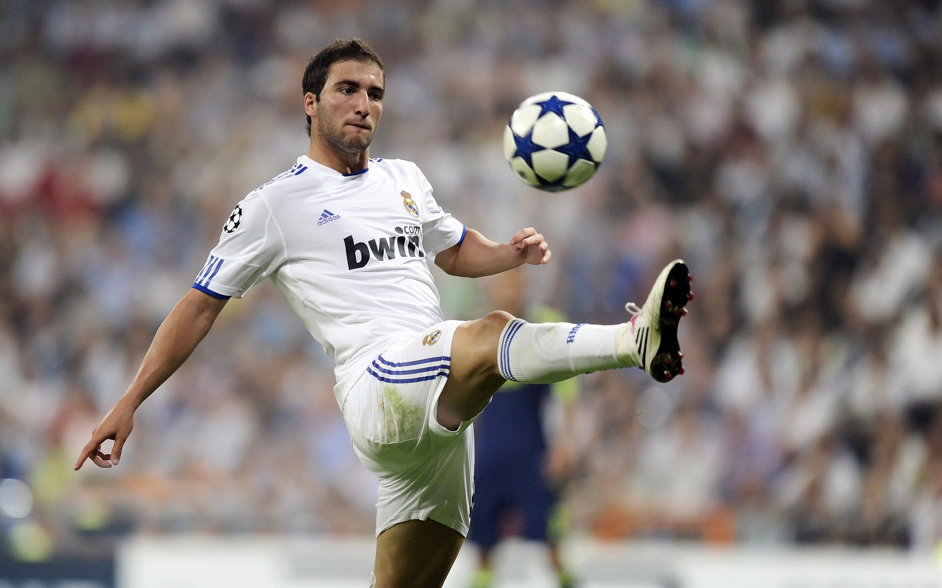 《电子竞技的“明星制造机”:打造潮流偶像》,明星创建的电竞战队